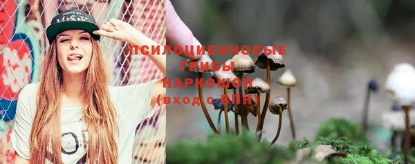 apvp Навашино
