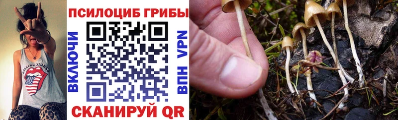 Галлюциногенные грибы Magic Shrooms  Мостовской 